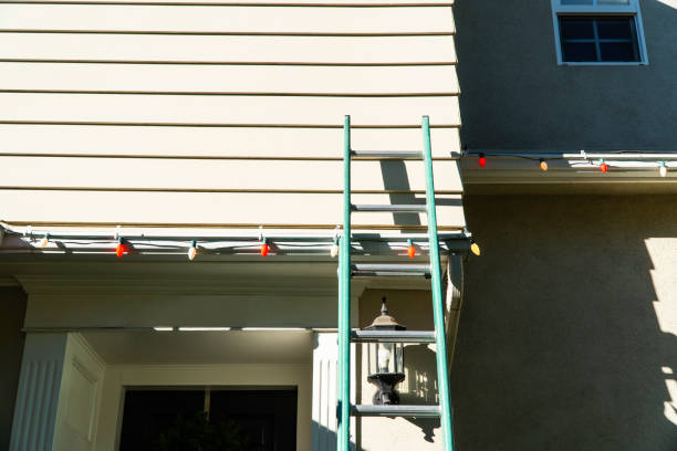 Best Storm Damage Siding Repair  in Shamrock, TX